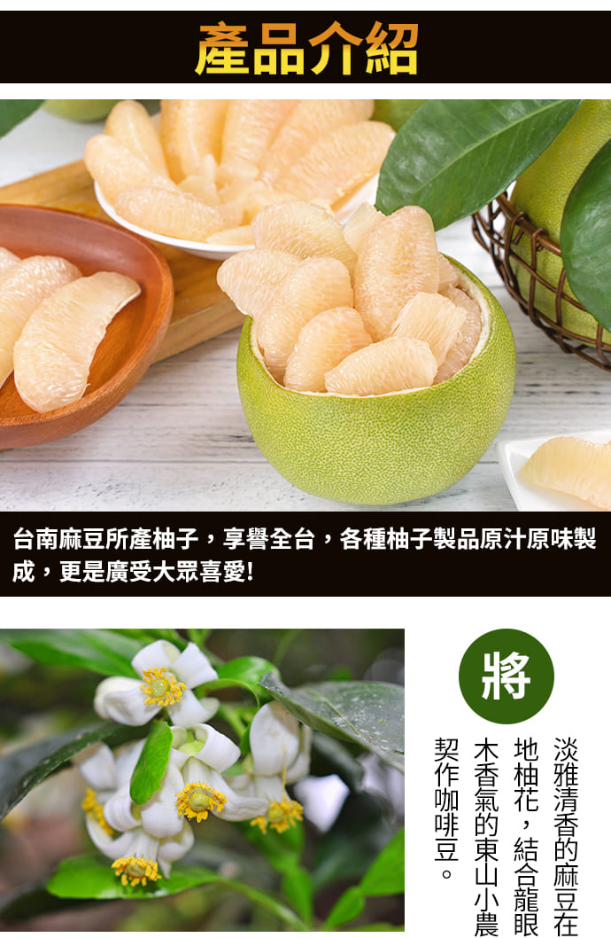 麻豆農會 柚花濾掛式咖啡 10g 8入 盒 2盒一組 Pchome 24h購物