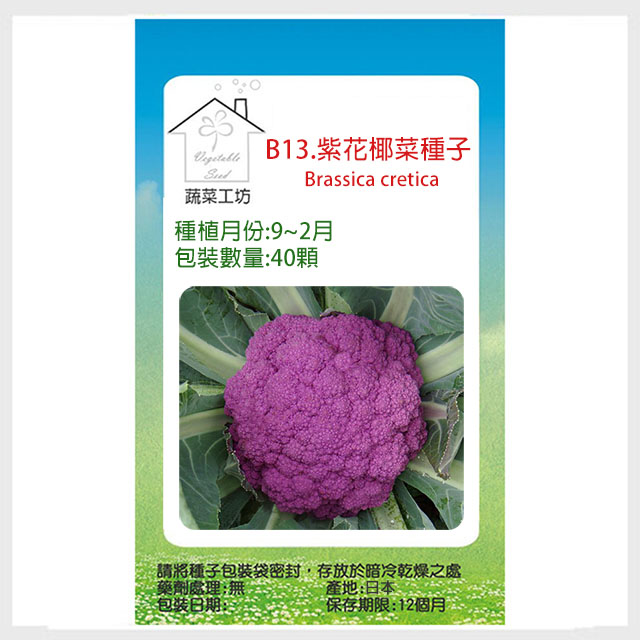 B13 紫花椰菜種子40顆 Pchome 24h購物