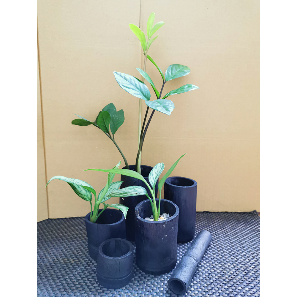 花盆 器皿 Pchome 24h購物