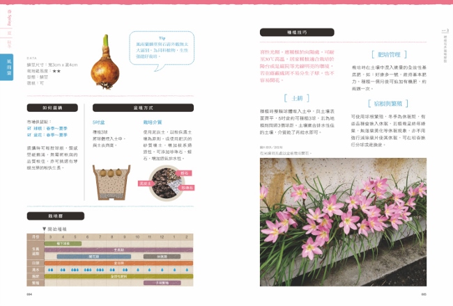 球根花卉超好種 園藝世家四代栽培密技大公開 50種球根花卉四季管理 Q A種花問答 Pchome 24h書店