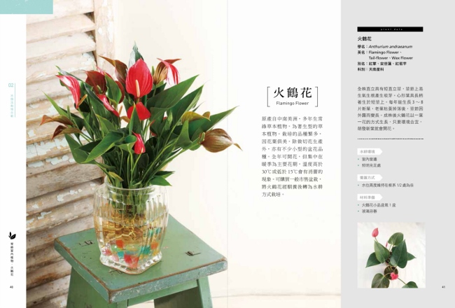 水耕盆栽超好養 無土不招蟲 加水就能活 輕鬆打造室內綠意 Pchome 24h書店 水耕盆栽超好養 無土不招蟲 加水就能活 輕鬆打造室內綠意 Pchome 24h書店