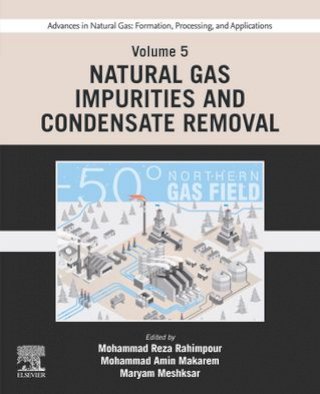 Advances in Natural Gas: Formation, Processing, and Applications. Volume 5: Natural Gas Impurities and Condensate Removal(Kobo/電子書)