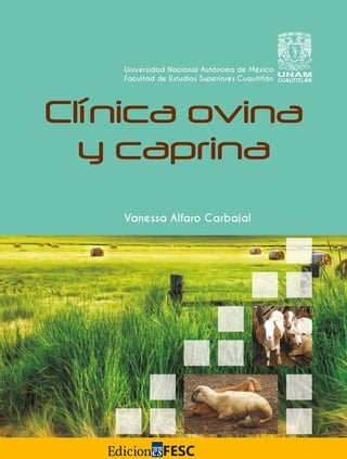 Clínica ovina y caprina(Kobo/電子書)