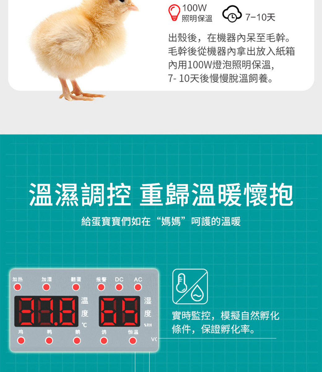 孵化機孵蛋器110v自動雞蛋孵化器24枚蛋鳥蛋鸡鸭家禽全自動孵蛋器雞蛋孵化箱雙電設計 Pchome 24h購物 孵化機孵蛋器110v自動雞蛋孵化器24枚蛋鳥蛋鸡鸭家禽全自動孵蛋器雞蛋孵化箱雙電設計 Pchome 24h購物