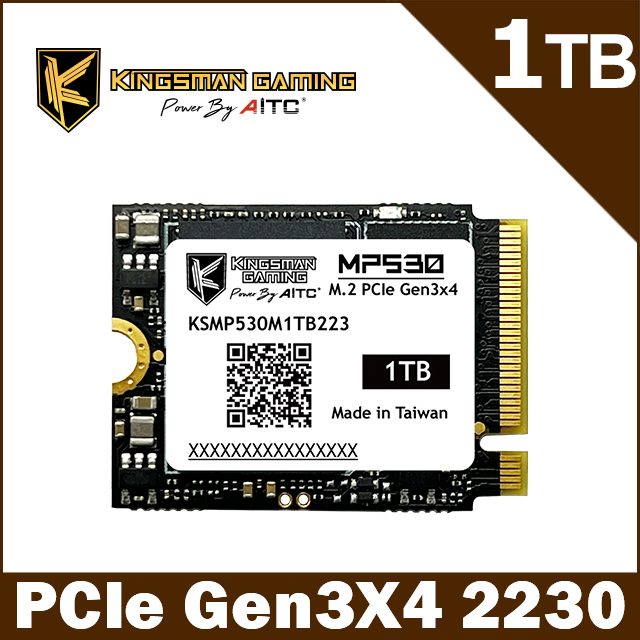 sp 廣穎UD90 1TB M.2 2230 NVMe Gen4x4 PCIe SSD 固態硬碟