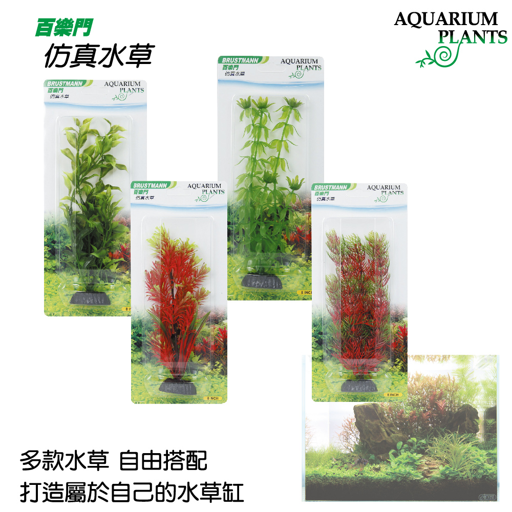 仿真假水草8吋 Pchome 24h購物