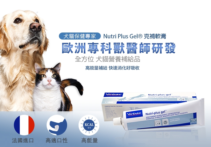 2入組 法國維克virbac Nutri Plus Gel 克補軟膏 犬貓專用高能量營養補給品1 5g Pchome 24h購物 2入組 法國維克virbac Nutri Plus Gel 克補軟膏 犬貓專用高能量營養補給品1 5g Pchome 24h購物